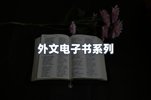 外文电子书系列